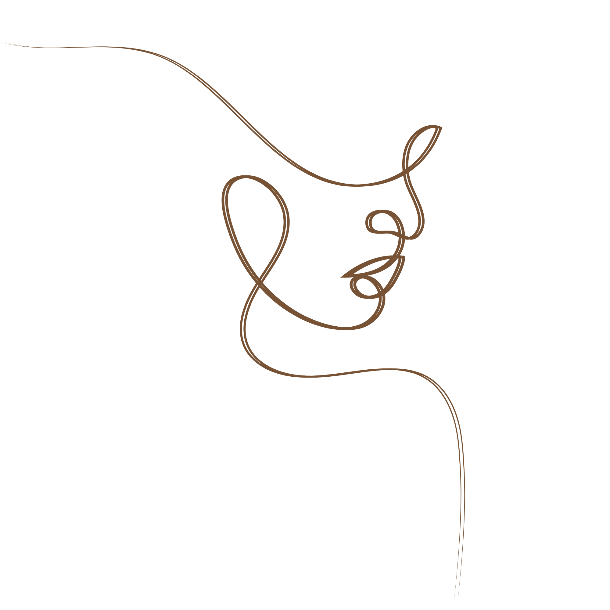 face lab